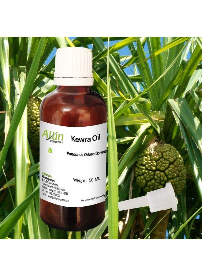 Allin Exporters زيت الكويرة 100% نقي وطبيعي وغير مخفف 50 مل - Image 2