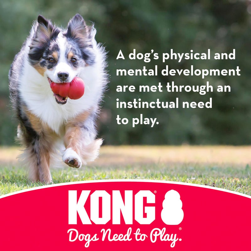 KONG Flyer Durable Dog Toy for Outdoor Playtime Natural Rubber Flying Disc Dog Toy for Fetch Safer Disc for Healthy Activity for MediumLarge Dogs - Image 4