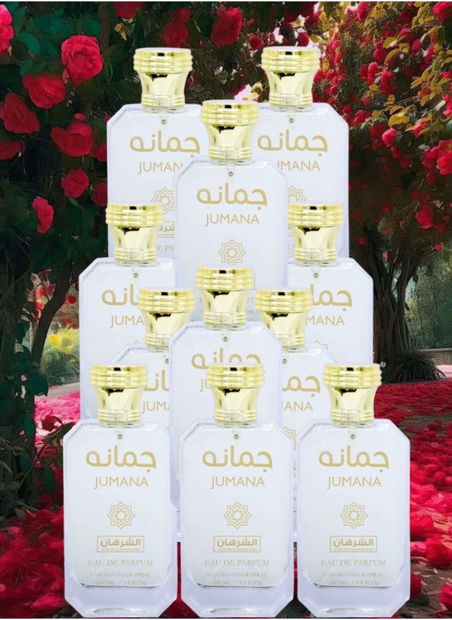 11 Pieces Jumana Perfume 100ML - pzsku/Z90457E07E3518B625D28Z/45/_/1730917881/a0f87e3c-ce7e-4fac-9a6f-c609dc43ee68