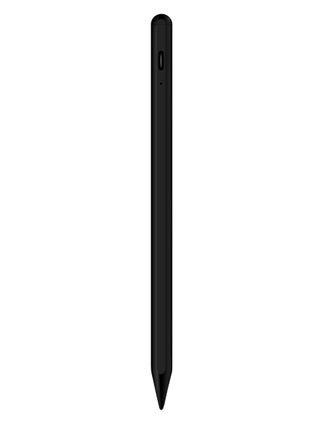 Stylus Pen for Apple iPad Pencil, Active Pen with Palm Rejection, Tilt, Magnetic Compatible with 2018-2022 2 Generation iPad 8th/7th/6th Gen iPad Air iPad Mini 6 iPad Pro (8.3/11/12.9") Black - pzsku/Z904651E7FD03D558E24DZ/45/_/1721724696/8686e21e-423c-4531-acf5-699b6086ba20