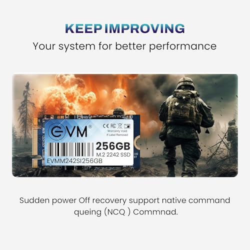 EVM 256GB M.2 SATA III SSD 2242 | Internal Solid State Drive | 520MB/s Read | 400MB/s Write | High Speed Storage | Shock Resistant | Laptop & Desktop Compatible | 5 Year Warranty (EVMM242/256GB) - Image 5