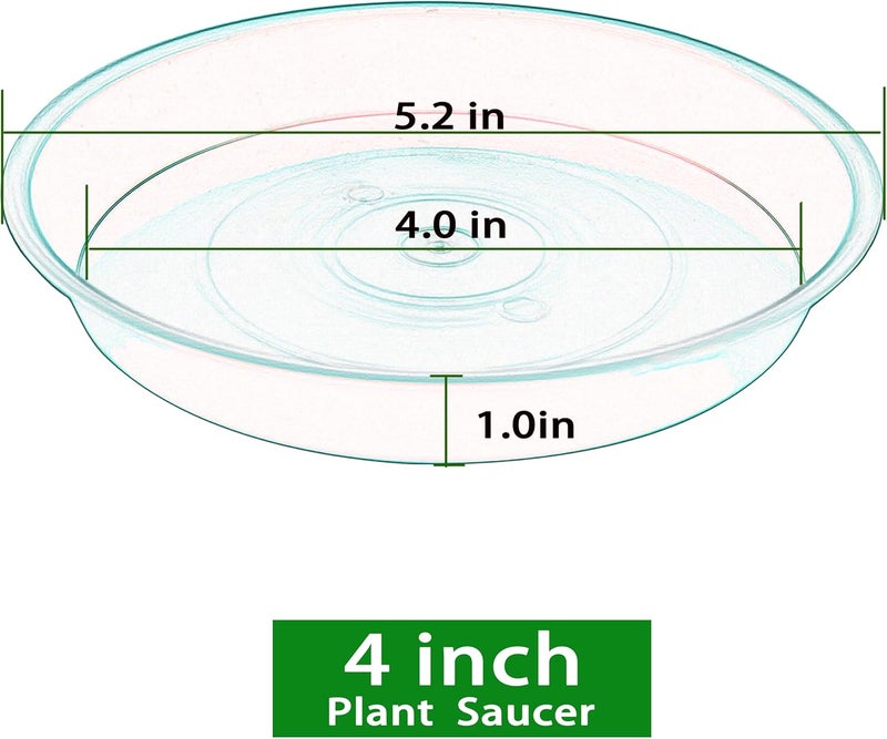 Bleuhome 6 Pack Plastic Plant Saucer Water Drip Tray, 4 5 6 7 8 9 10 11 12 inch, Heavy Sturdy Plant Drainage Tray for Indoors Outdoor, Flower Saucers for Pots Base (4", Clear) - Image 2