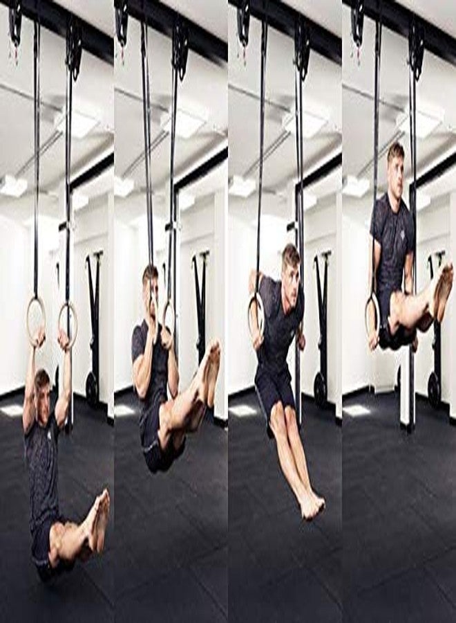 SIGNATRON Gymnastics Rings/Roman Ring with Straps & Buckles for Cross Fitness Functional Training & Home Gym Workouts, Strength Training, Pull Ups and Dips - Image 4