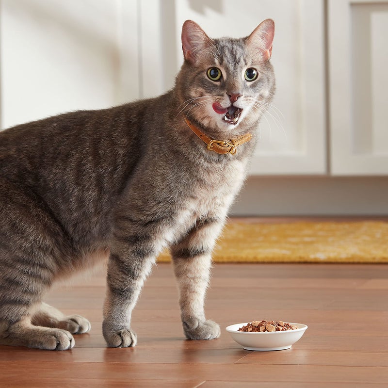 Meow Mix Poultry Selections Wet Cat Food, Variety Pack, 2.75 Ounce Cup (Pack of 24) - Image 4