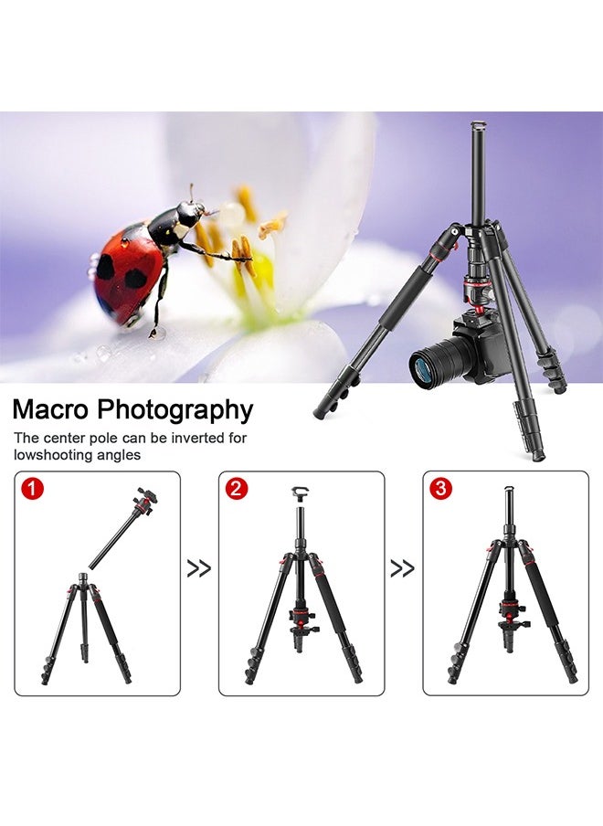 Zomei - Camera Tripod,2 In 1 Triop,Foldable Lightweight Aluminum Travel Tripod Stand with 360 Degree Ball Head for Vlog Nikon Canon Sony All DSLR and Digital Camera(Q173) - Image 1