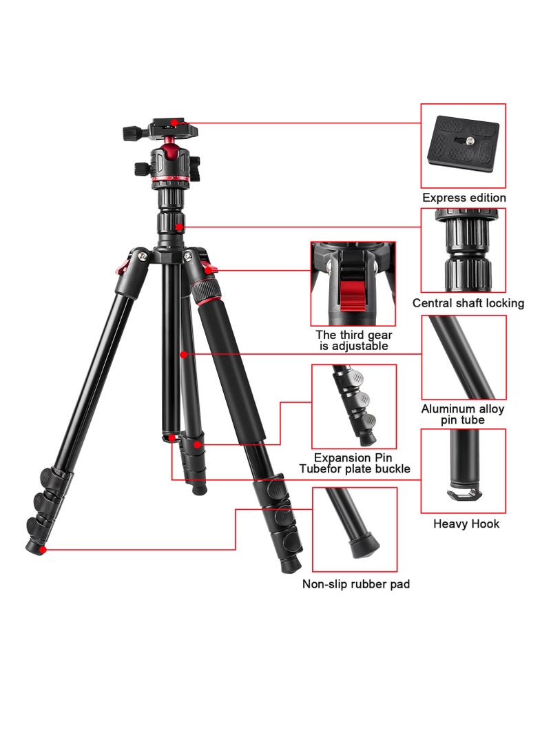 Zomei - Camera Tripod,2 In 1 Triop,Foldable Lightweight Aluminum Travel Tripod Stand with 360 Degree Ball Head for Vlog Nikon Canon Sony All DSLR and Digital Camera(Q173) - Image 1