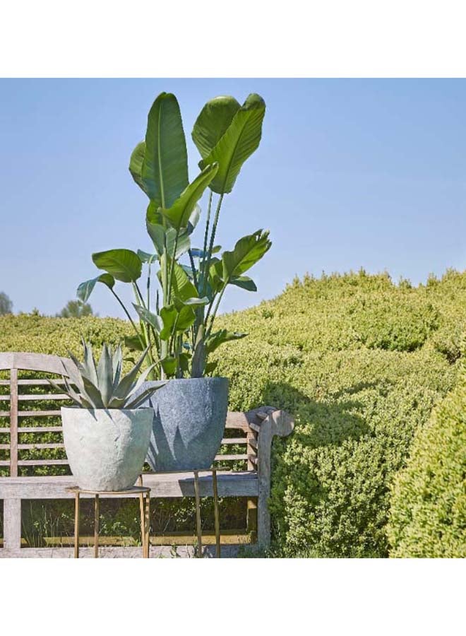 Suncoast Suncoast Bravo Outdoor Square Pot Planter-Brown  - Image 2