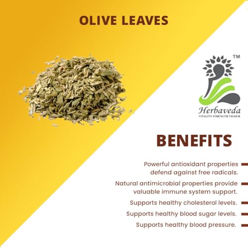 Herbaveda- Olive Leaves 200g | Boosts Immunity | Olive Leaves For Tea | Jaitun patta | Jaitun Chilka - Image 2