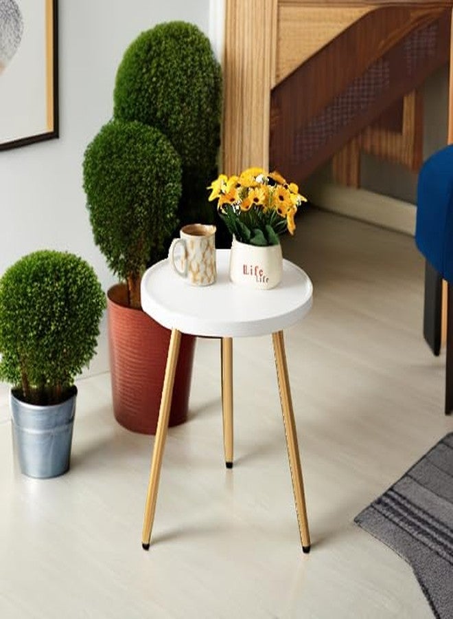 danpinera Small Round Side Table, Mini White Table with Wooden Tray & Metal Legged, Gold Side Table for Small Space, Living Room, Bedroom, Nursery, 14.96" D x 14.96" W x 17.52" H, White & Gold - Image 5