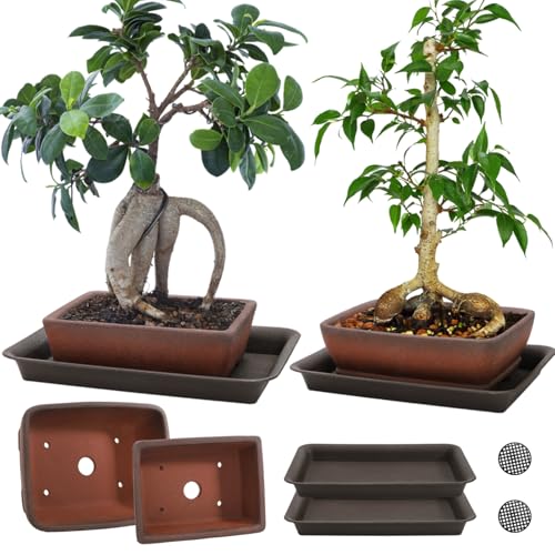 ELFULLY 2 Pack Ceramic Bonsai Pots with Drainage Tray, 6" and 7" Unglazed Rectangle Bonsai Tree Planters, Bonsai Training Pots, Succulent Cactus Planter with Drainage Hole for Outdoor Indoor, Brown - Image 1