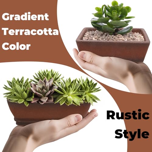 ELFULLY 2 Pack Ceramic Bonsai Pots with Drainage Tray, 6" and 7" Unglazed Rectangle Bonsai Tree Planters, Bonsai Training Pots, Succulent Cactus Planter with Drainage Hole for Outdoor Indoor, Brown - Image 3