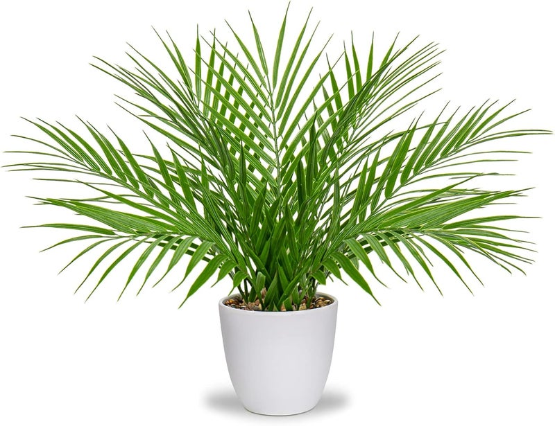 Briful Fake Plant 15’’ Artificial Palm Plant in White Pot Real Touch Faux Tropical Palm Tree Houseplant for Home Indoor Living Room Tabletop Balcony Decorations - Image 1