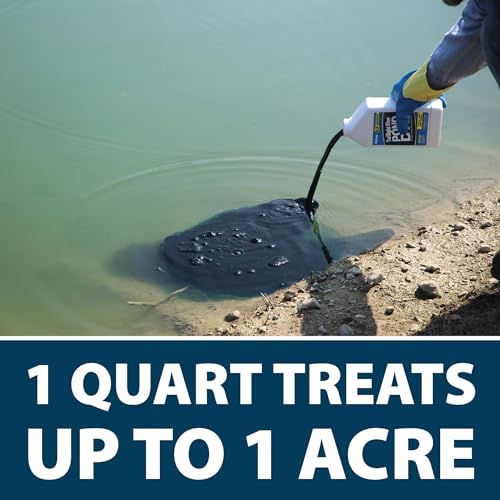 Airmax Nature's Blue Pond Dye 4X Concentrate for Outdoor Ponds & Lakes, Natural Pond Color & Beauty Enhancer, Swimming Safe Water Colorant, Easy Liquid Application, 1 Quart - Image 3