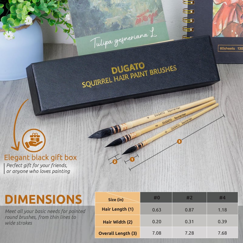 DUGATO Professional Real Squirrel Hair Watercolor Brushes Set by DUGATO â€“ Natural Mop Round Paintbrushes for Fine Detail, Gouache, Acrylic, Oil & Wash Painting (3 Brushes) - Image 2