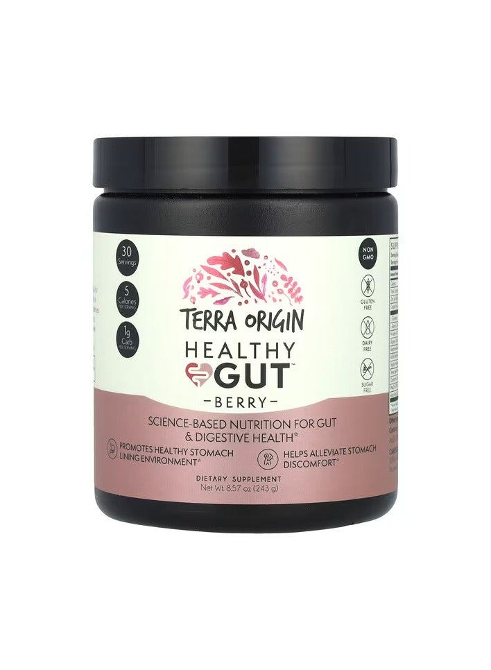 Terra Origin, Healthy Gut™, Berry, 8.57 oz (243 g) - Image 1