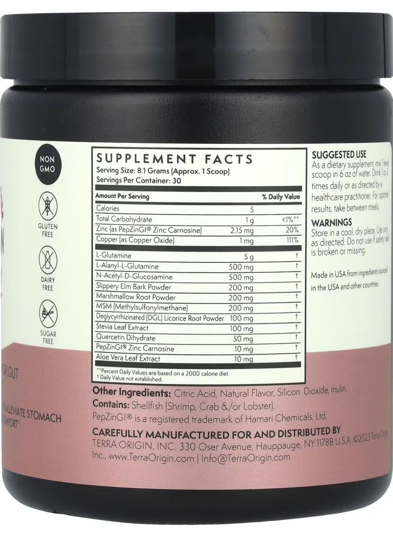 Terra Origin, Healthy Gut™, Berry, 8.57 oz (243 g) - Image 2