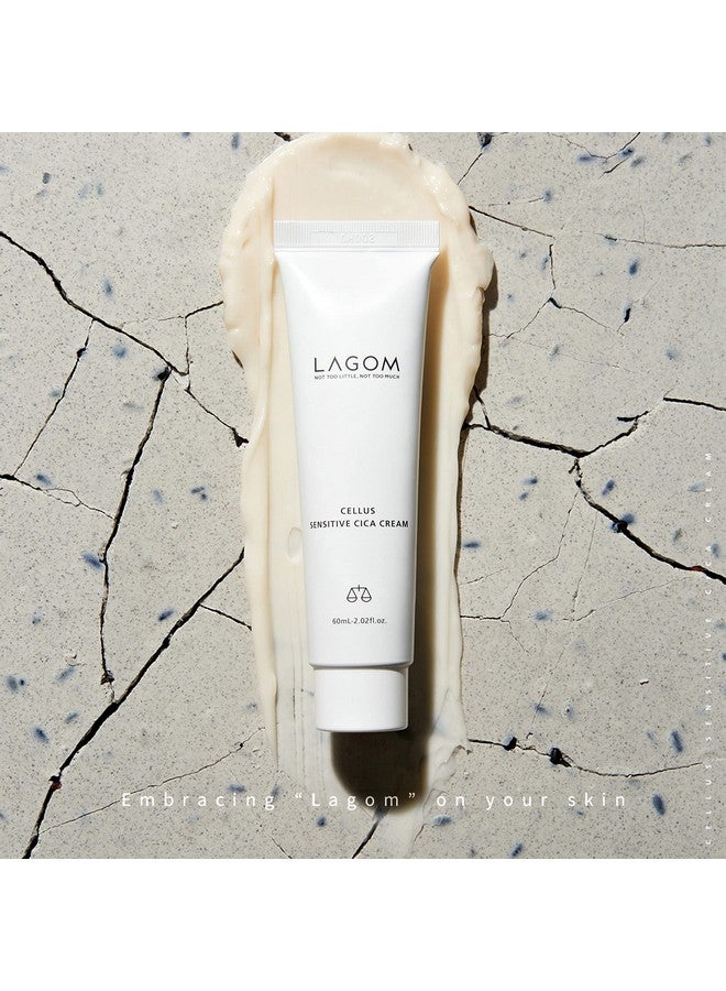 LAGOM Cellus Sensitive Cica Cream Natural Soothing Lotion With Centella Ceramide Green Tea Rich Herbal Nutrition Restoration Dry Irritation Calming Balm All Skin Type Face Blemish 60Ml 2.02Oz - Image 4