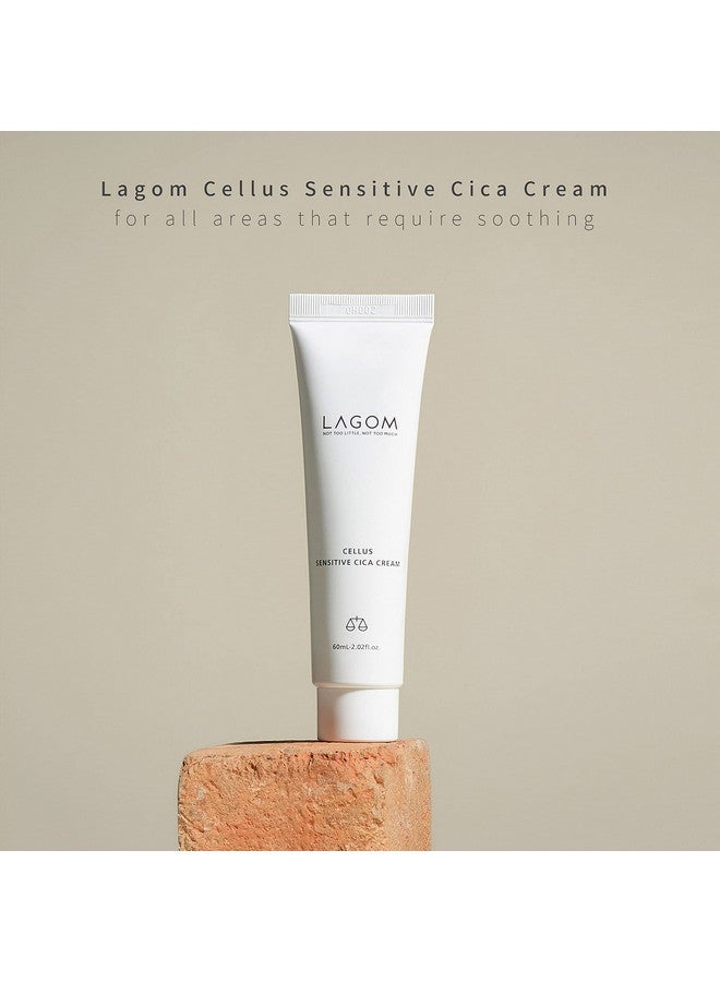 LAGOM Cellus Sensitive Cica Cream Natural Soothing Lotion With Centella Ceramide Green Tea Rich Herbal Nutrition Restoration Dry Irritation Calming Balm All Skin Type Face Blemish 60Ml 2.02Oz - Image 5