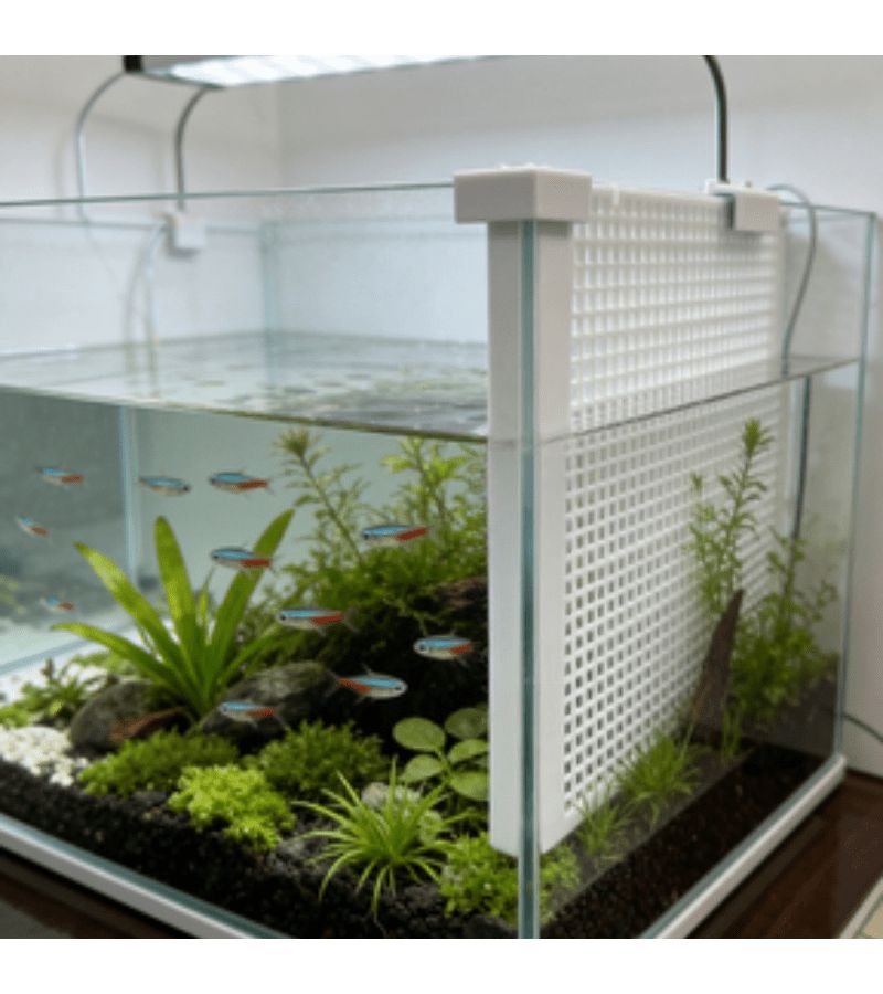 Aquarium Divider Fixing Clip High Strength Plastic Holds Divider Steady Prevents Shifting - Image 3