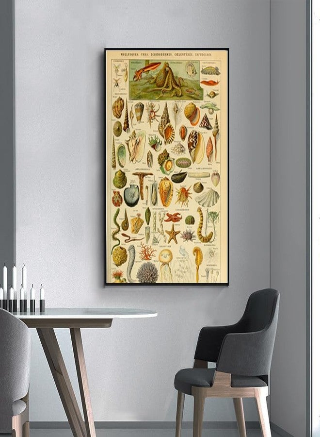 OKRA Adolphe Millot prints - Pour Tous Poster - Software Biometric Identifier Reference Sheet - Science Education Poster Office Classroom Kindergarten Frameless Cool Home Decor(12×18in/30×45cm) - Image 5