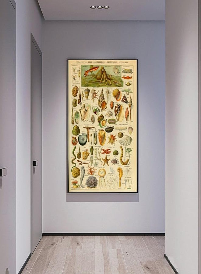 OKRA Adolphe Millot prints - Pour Tous Poster - Software Biometric Identifier Reference Sheet - Science Education Poster Office Classroom Kindergarten Frameless Cool Home Decor(12×18in/30×45cm) - Image 4