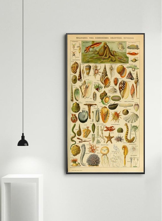 OKRA Adolphe Millot prints - Pour Tous Poster - Software Biometric Identifier Reference Sheet - Science Education Poster Office Classroom Kindergarten Frameless Cool Home Decor(12×18in/30×45cm) - Image 2