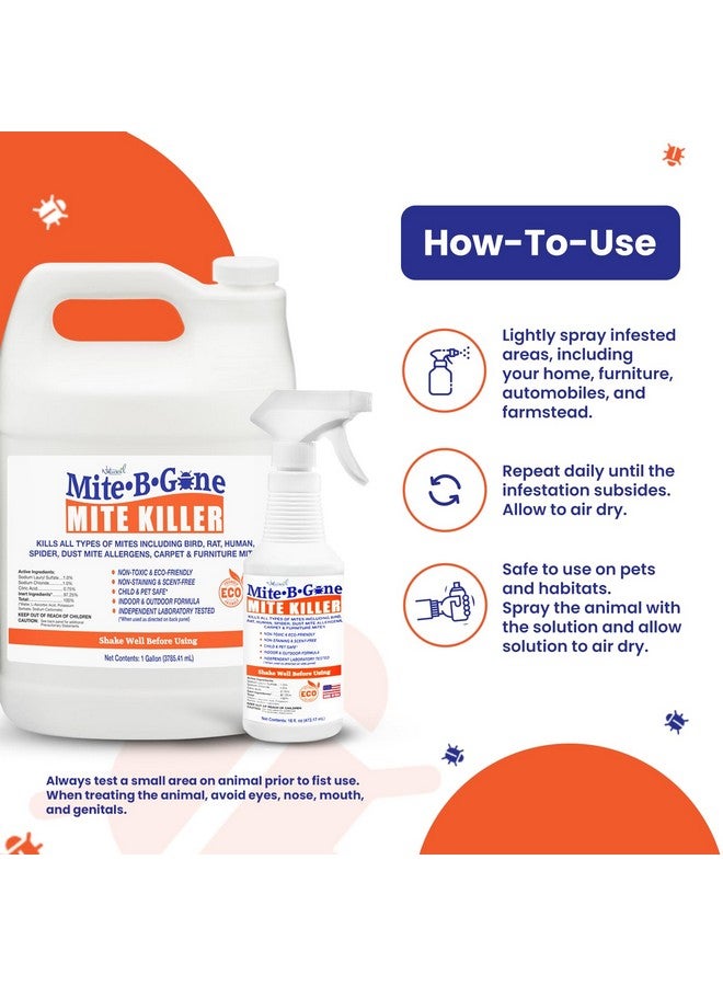 ناتوراسيل رذاذ قاتل العث من شركة Mite-B-Gone Treatment - يقضي على العث البشري والغبار والعناكب والفئران والسجاد وعث الطيور في المنازل والأثاث والفراش والسيارات وعلى الحيوانات | غير سام | آمن على الأطفال والحيوانات الأليفة | رذاذ بحجم 32 أونصة  - Image 2