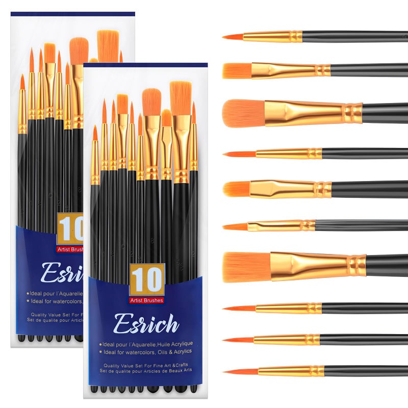 ESRICH Paint Brushes Set2 Packs 20 Pcs Acrylic Paint Brush SetWatercolor Oil Acrylic Nylon Hair BrushesArtist Paintbrushes for Acrylic Oil Watercolor Painting Artist Professional KitsBlack