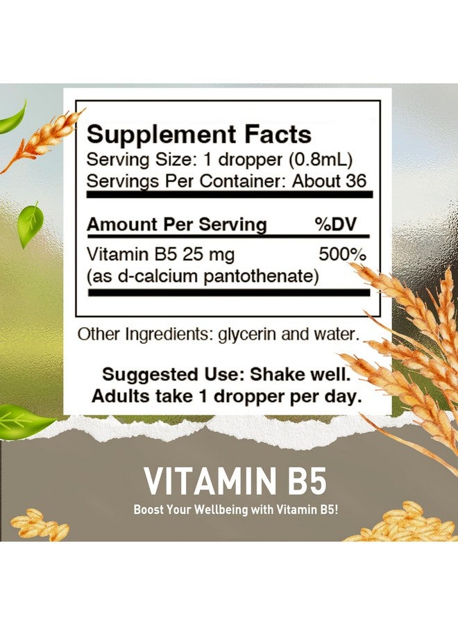 HoneyCombs Vitamin B5 Pantothenic Acid Supplement Liquid Drops - High Potency Vitamin B5 for Men & Women - Maintain Healthy Hormones, Immune System, Hair, Skin, Nails - Vegan Liquid Vitamins (1 Fl oz) - Image 2
