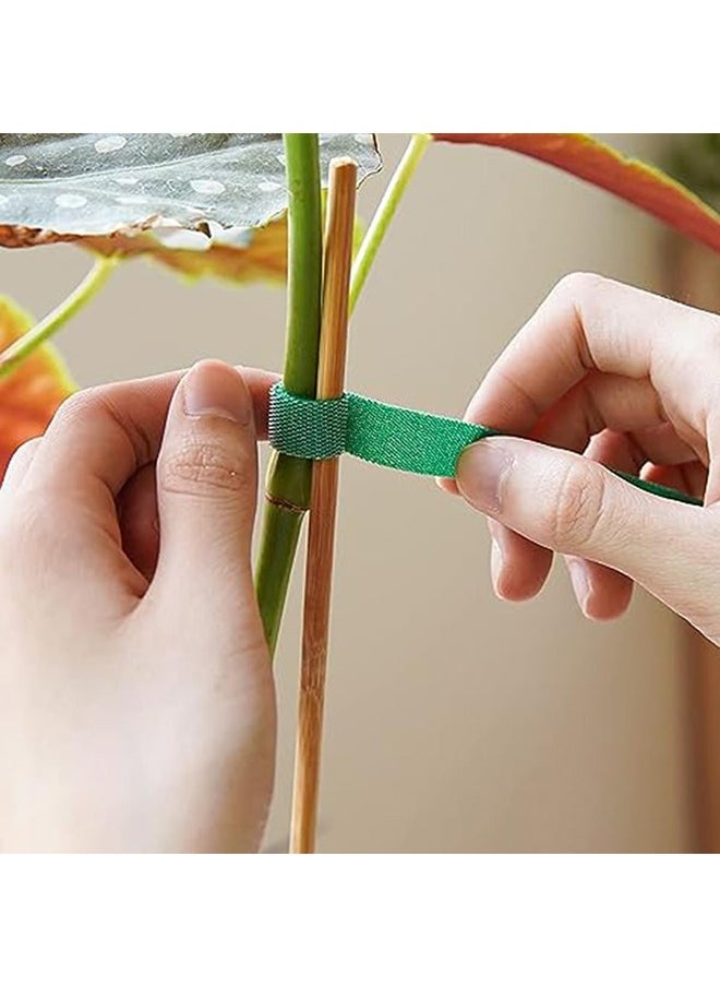Hihonor Plant Ties,Reusable Nylon Plant Ties,5m Self-Adhesive Tape,Adjustable Plant Holder for Growing Trees/Veggies(0.6 in X 16.4 Ft)  - Image 2