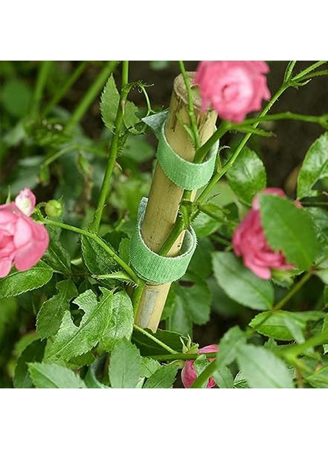 Hihonor Plant Ties,Reusable Nylon Plant Ties,5m Self-Adhesive Tape,Adjustable Plant Holder for Growing Trees/Veggies(0.6 in X 16.4 Ft)  - Image 3