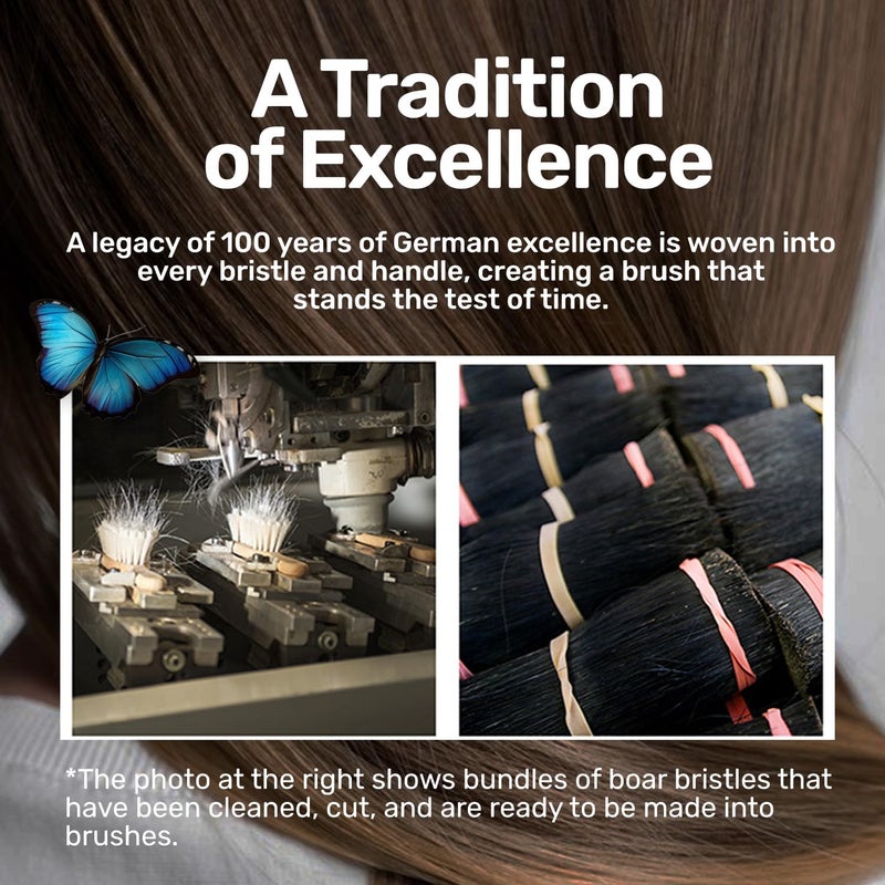 Desert Breeze Distributing 100% Natural Boar Bristle Hairbrush for Healthy Hair - Gentle Care, Made in Germany - Image 5