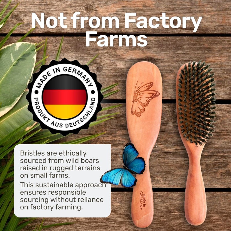 Desert Breeze Distributing 100% Natural Boar Bristle Hairbrush for Healthy Hair - Gentle Care, Made in Germany - Image 4