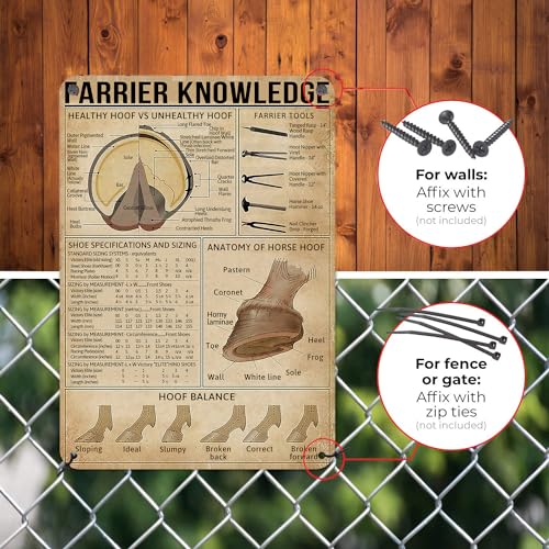 HYBLOM Farrier Knowledge Horse Hoof Anatomy Tin Sign - Educational Retro Metal Poster for Horse Lovers, Cowboy, Home, School, Farm, and Club Wall Decor, 12x16 Inches - Image 4