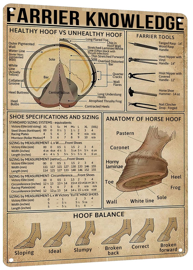 HYBLOM Farrier Knowledge Horse Hoof Anatomy Tin Sign - Educational Retro Metal Poster for Horse Lovers, Cowboy, Home, School, Farm, and Club Wall Decor, 12x16 Inches - Image 1