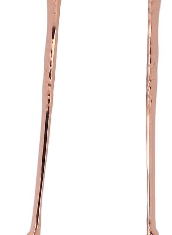 Stainless Steel Eagle Claw Ice Tongs Plated Copper For Home Bar Kitchen Use - Image 1