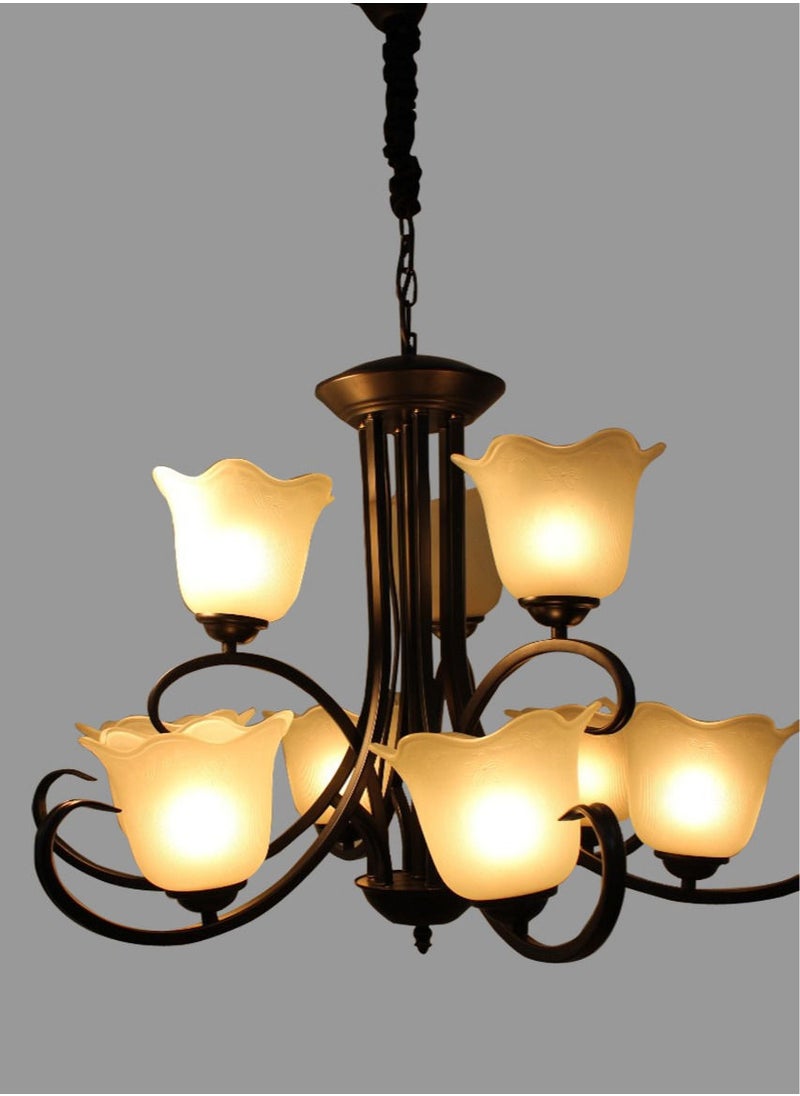 Generic Chandelier  - Image 1