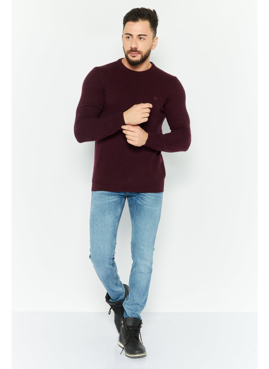 Men Crew Neck Long Sleeve Brand Logo Sweater, Maroon - pzsku/Z905D2A09B53713183BDBZ/45/_/1737642899/a32c72ad-75ba-4692-91ff-9997b179f9dc