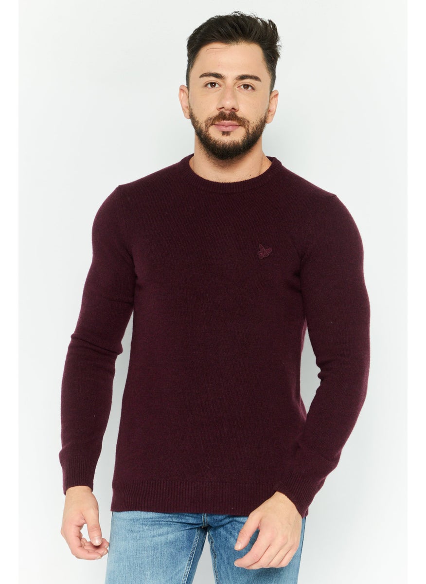 Men Crew Neck Long Sleeve Brand Logo Sweater, Maroon - pzsku/Z905D2A09B53713183BDBZ/45/_/1737642991/faa1aa0a-a74e-48a6-87a5-e303bfa4ef26