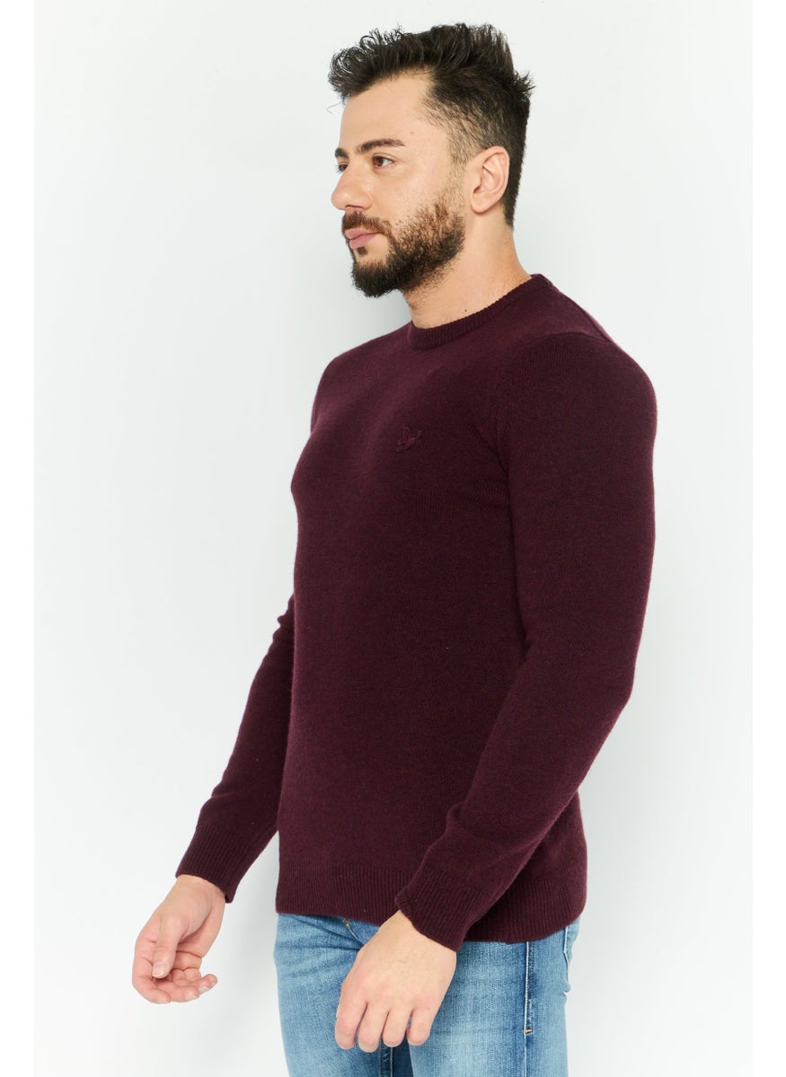 Men Crew Neck Long Sleeve Brand Logo Sweater, Maroon - pzsku/Z905D2A09B53713183BDBZ/45/_/1737642993/bc75de0d-9eae-43e8-ac4f-574d9111c2fe