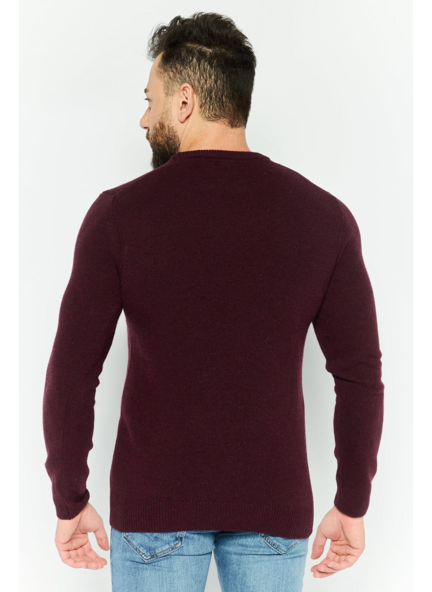 Men Crew Neck Long Sleeve Brand Logo Sweater, Maroon - pzsku/Z905D2A09B53713183BDBZ/45/_/1737642995/a4d5f8bf-d794-4040-8e2a-eba6b10f2ccc