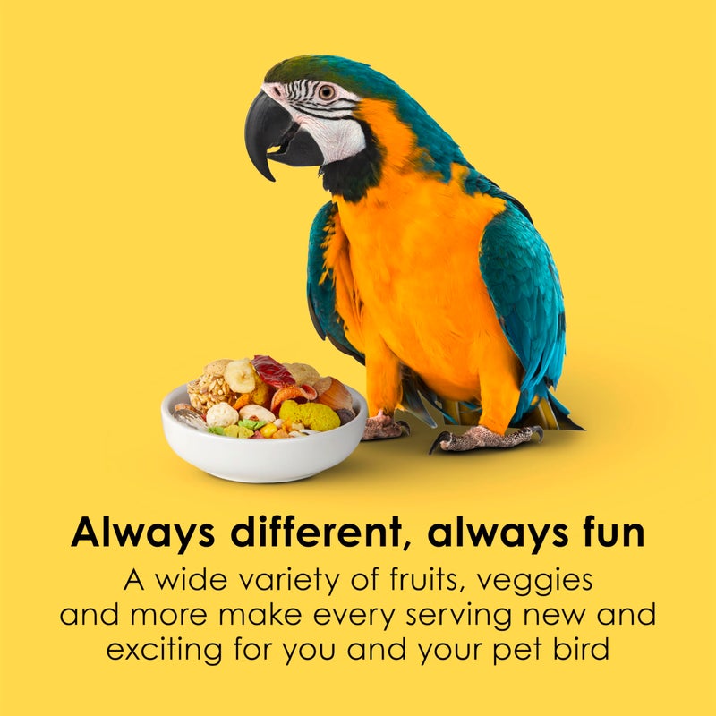 Kaytee Fiesta Macaw Food, Nutritious and Fun Blend, Supports Skin, Feather, Digestion, Brain and Heart Health, 4.5 pounds - Image 3