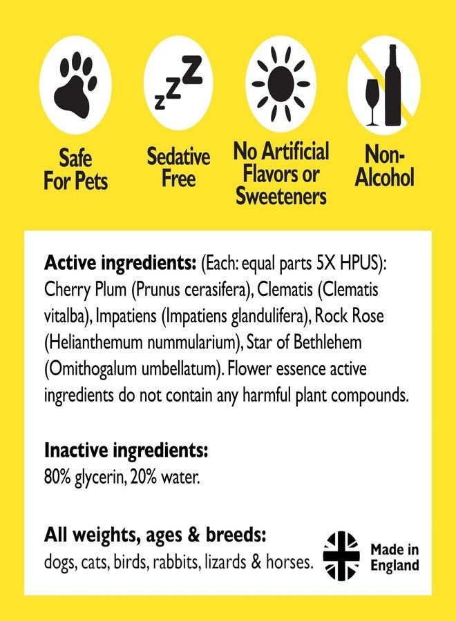 Bach Rescue Remedy PET Dropper 20mL, Natural Stress Relief, Calming for Dogs, Cats, & Other Pets, Homeopathic Flower Essence, Thunder, Fireworks & Travel, Separation, Sedative-Free - Image 5