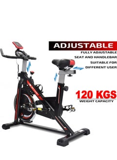 Sky Land Luxury Indoor Spinning Bike, Fully Adjustable Stationary Exercise Bike  - Image 3