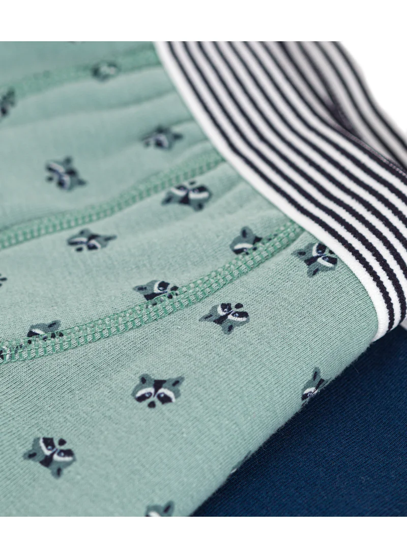 Petit Bateau Children's cotton boxers - 2-pack