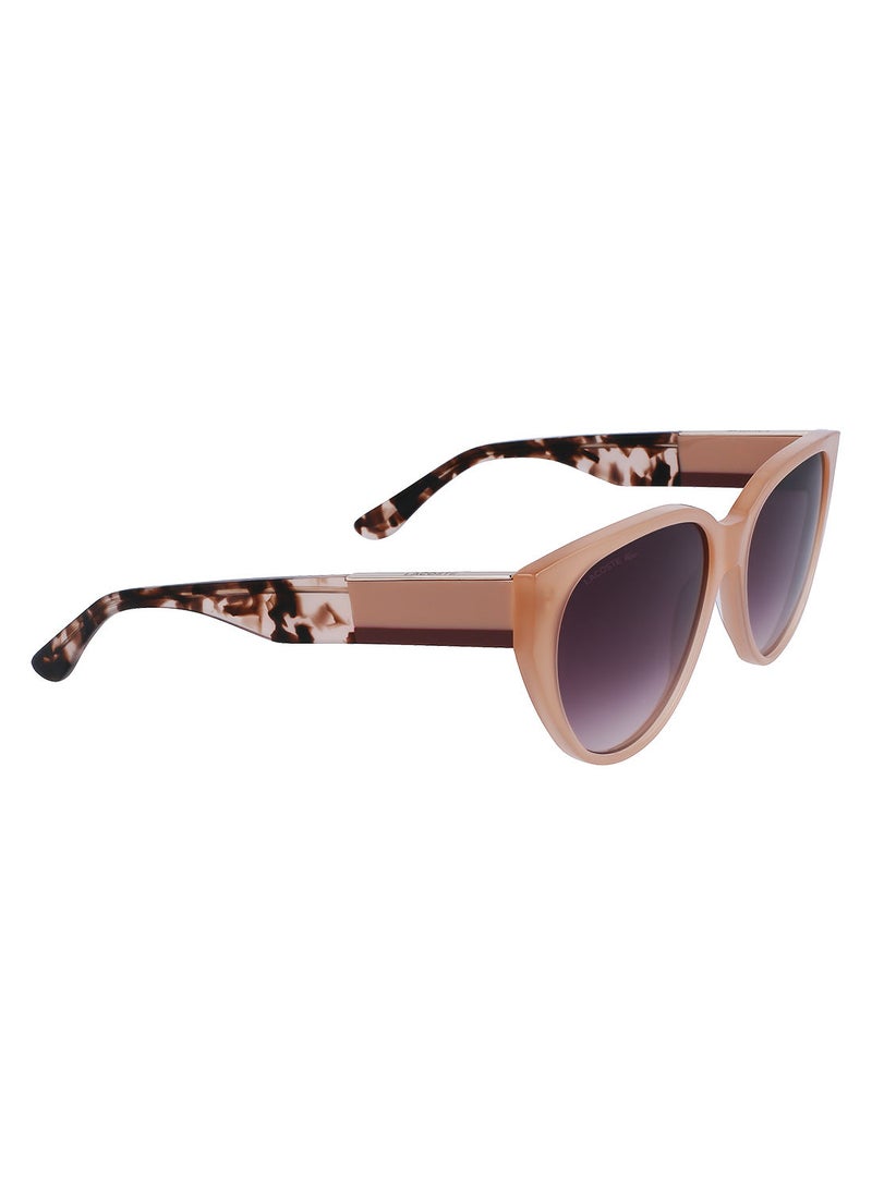 LACOSTE Full Rim Acetate Oval Lacoste Suns L985S 5916 (681) Peach Opaline  - Image 2