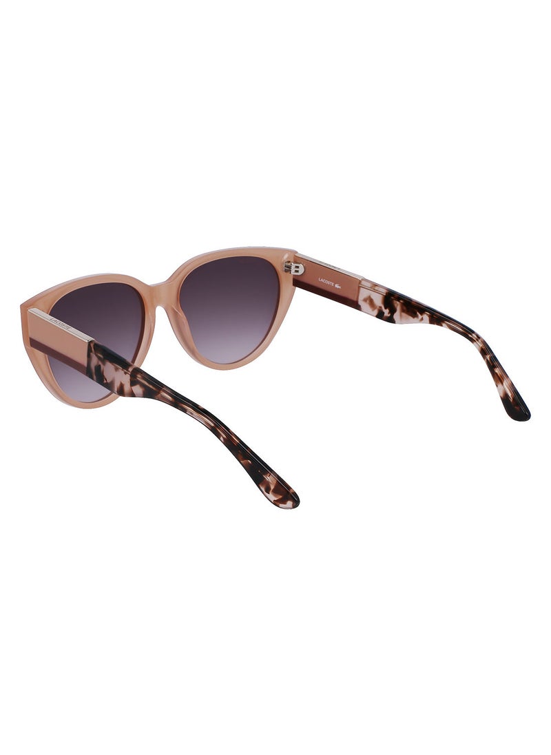 LACOSTE Full Rim Acetate Oval Lacoste Suns L985S 5916 (681) Peach Opaline  - Image 3