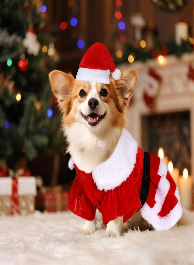 cnomg Christmas Dog Dress Santa Pet Christmas Dress Red with Red Santa Hat for Winter Holiday Soft Thermal Skirt (Large) - Image 4
