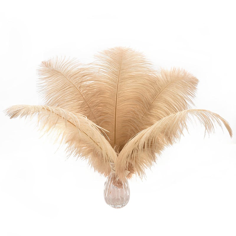 Ballinger Champagne Ostrich Feathers Bulk - 24pcs 10-12inch Boho Feathers for vase and Home Decor Wedding Party Centerpieces - Image 1