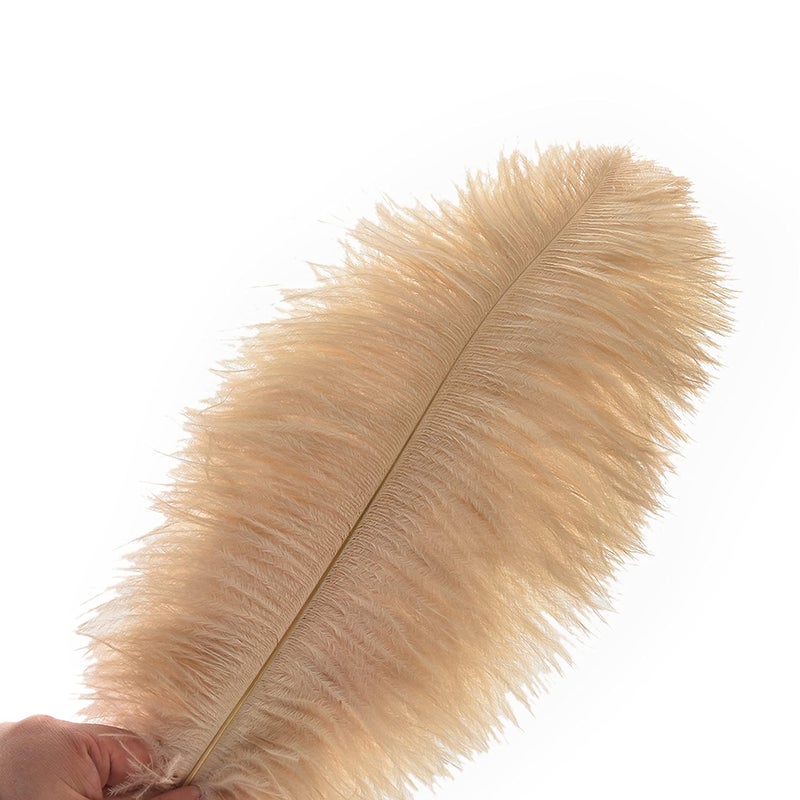 Ballinger Champagne Ostrich Feathers Bulk - 24pcs 10-12inch Boho Feathers for vase and Home Decor Wedding Party Centerpieces - Image 2